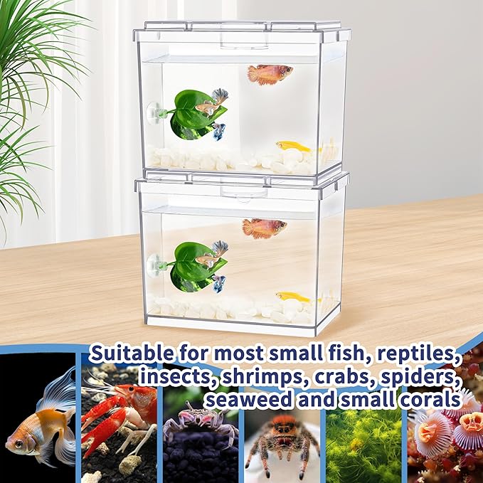 Mini Betta Fish Tank, Small Fish Bowl for Temporary Space, 0.2 Gallon Stackable Cube Tank with Betta Leaf and Gravels for Small Fish, Insect, Shrimp, Crab, Spider.(Pack-2)