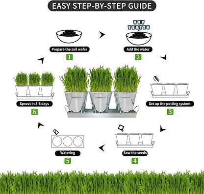 The Environet Organic Cat Grass for Indoor Cats, Organic Cat Grass Kit with Seeds Mix and Metal Iron Pots, Hairball Control, Digestion Support, Ideal Gift for Cat Lovers