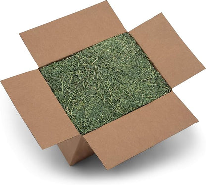 High Desert Alfalfa Hay, Protein Rich Soft Leaf Food for Young Growing Animals, Natural Rabbit Food and Guinea Pig Hay, Supports Digestive Health, Small Pet Supplies, Fresh Hand Packed 10 Lb Box