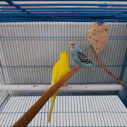 100 ft x 11 Inch Bird Cage Liner Disposable Cages Cushion Pad Mat Precut Absorbent Bird Cage Paper Large Parakeet Cage Liners Accessories for Pet Animal Bird Parrot (White)