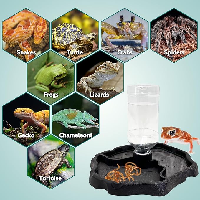 9oz Reptile Water Bottle, Turtle Food and Water Bowl Automatic Feeders Waterer Tortoise Dispenser Bottle Feeding Dish for Lizard Chameleon