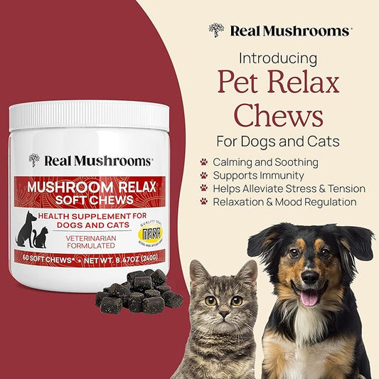 Real Mushrooms Calming Treats for Dogs & Cats – Reishi, Lion’s Mane, Botanicals – Cat & Dog Soft Chews for Daily Use – Calming Chews for Cats & Dogs – 60 ct Grain-Free Pet Bites