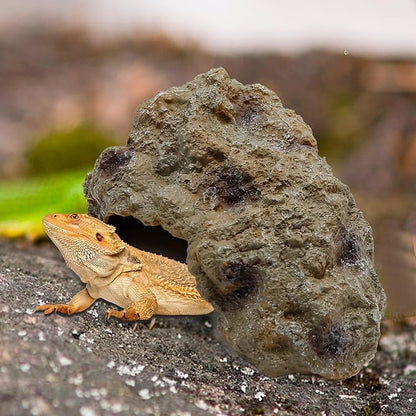 Reptile Rock Reptile Cave Hideout for Snakes/Geckos/Lizards/Turtles and Other Amphibians, with Dinosaur Skull (Small)