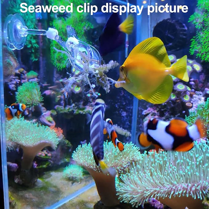 Coral Reef Grabber,Coral Feeder,Aquarium Veggie Feeder,Fish Tank Food Clip,Fish net(Reef Grabber and Coral Feeder Kits (Anti-Rust)