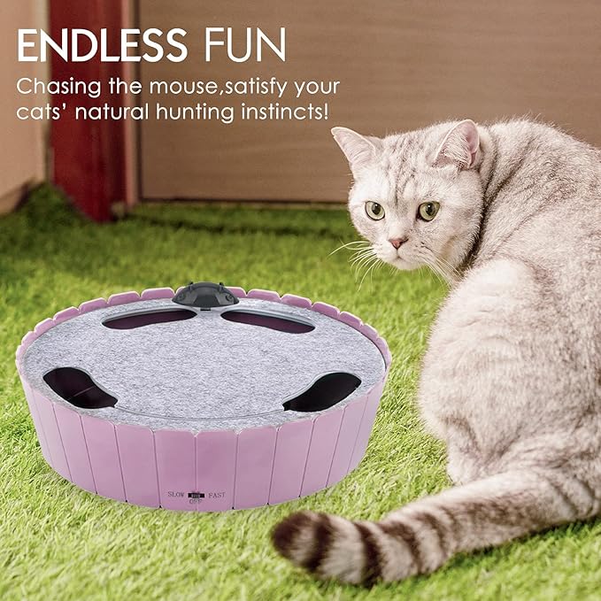 Pawaboo Interactive Cat Toy With Running Mouse, Electronic Motion Automatic Teaser for Indoor Cats, Pop and Play Hide Seek Hunting Mouse for Pet Kitten Play Fun Exercise, Purple