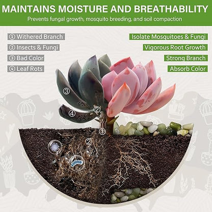 NUPICK 3 lbs Pebbles for Indoor Plants, 3/8 Inch Pea Gravel for Fish Tank, Polished Decorative Rocks for Succulent, Natural River Stones for Vases, Cactus, Landscaping, Bird Bath, Aquarium, Jade