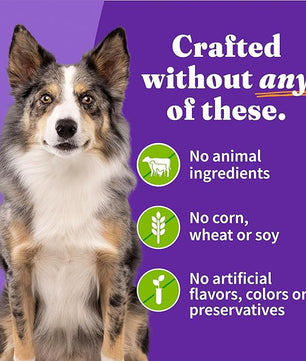 Halo Holistic Vegan Wet Dog Food, Plant-Based Recipe, Canned Dog Food, Complete Digestive Health, Adult Dogs, 13 Oz Can (Pack of 12)