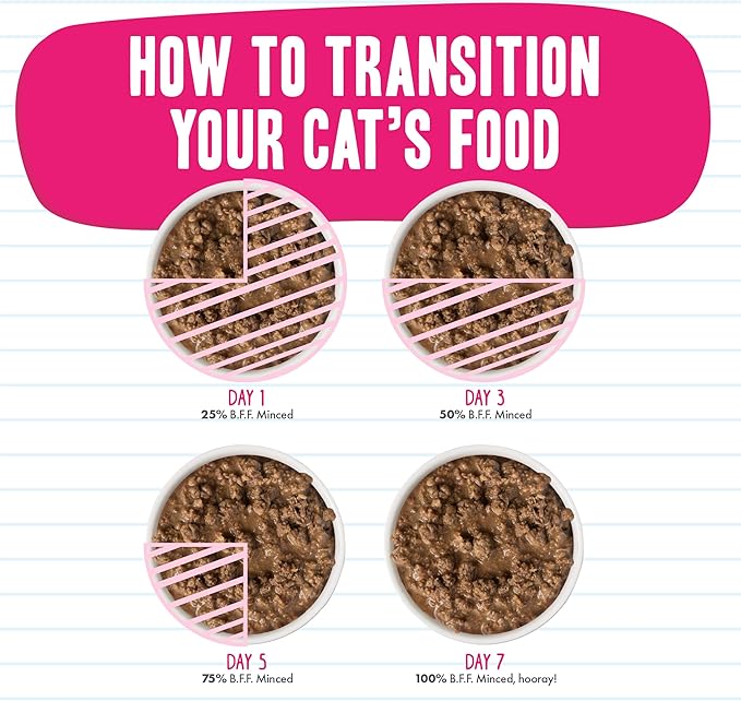 Weruva BFF Minced Natural Wet Cat Food, Tuna and Pumpkin Valentine in Gravy, 10oz Can, Pack of 12