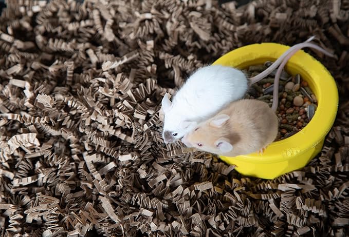 ECO BEDDING FiberCore, Dust Free Paper Bedding for Small Pets and Birds, 10 lb. Natural (expands to 250L)