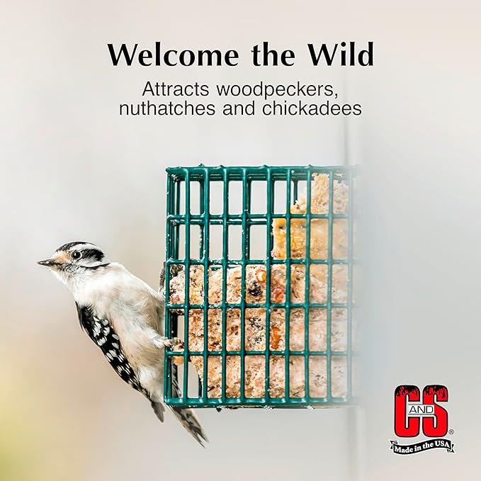 C&S High Energy Suet Treat, 11.75 Ounce, 8 Pack