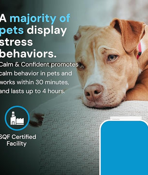 VETRISCIENCE Veterinary Strength Calm & Confident Chews - Stress Supplement for Pets - Supports Brain Function for Cats & Dogs - with L-Theanine, Thiamine & More - 60 Count