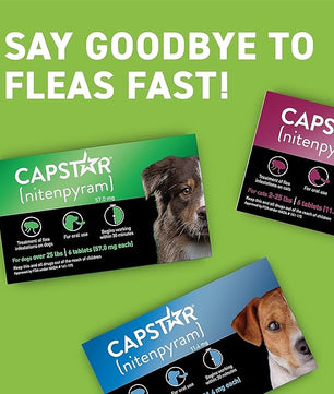 CAPSTAR Oral Flea Treatment for Dogs, Fast Acting Tablets Start Killing Fleas in 30 Minutes, Medium & Large Dogs (Over 25 lbs), 6 Doses