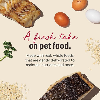 The Honest Kitchen Dehydrated Whole Grain Fish & Oats Dog Food, 4 lb Box, 4.00 Pound (Pack of 1)