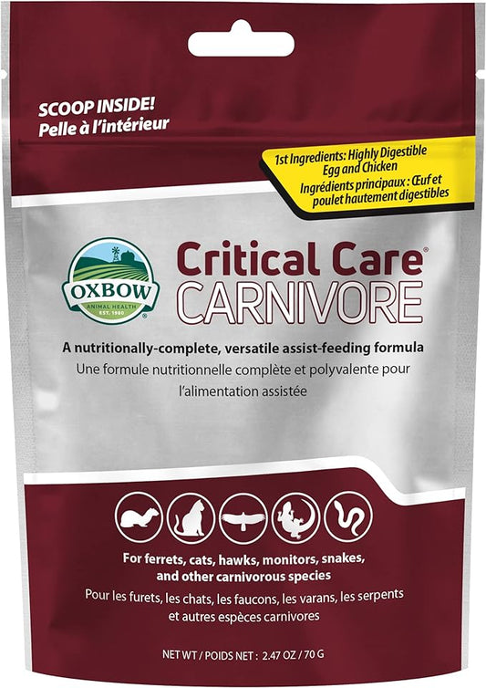 Oxbow Critical Care Carnivore, Made with Whole Egg & Dried Chicken, Assist Feeding Formula for Carnivores, Cat Supplements, Ferret Food Recovery, Small Animal Pet Products, Made in USA, 70 Gram Bag