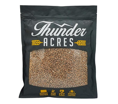Non-GMO, Thunder Acres Premium Wheat Seed, Cat Grass Seed, Wheatgrass, Hard Red Winter Wheat (10 lbs.)