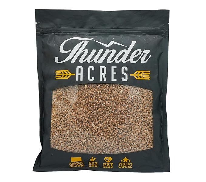 Non-GMO, Thunder Acres Premium Wheat Seed, Cat Grass Seed, Wheatgrass, Hard Red Winter Wheat (2 lbs.)
