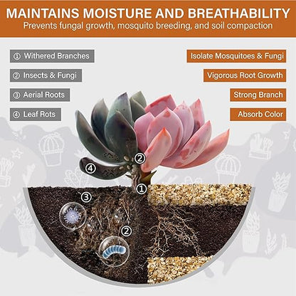 NUPICK 1-2mm Coarse Sand for Plants, 6lb Horticultural Grit for Succulents, Desert Silica Sand for Cactus, Decorative Gravel for Landscaping, Gold Grit for Aquariums, Bonsai, Vases Fillers