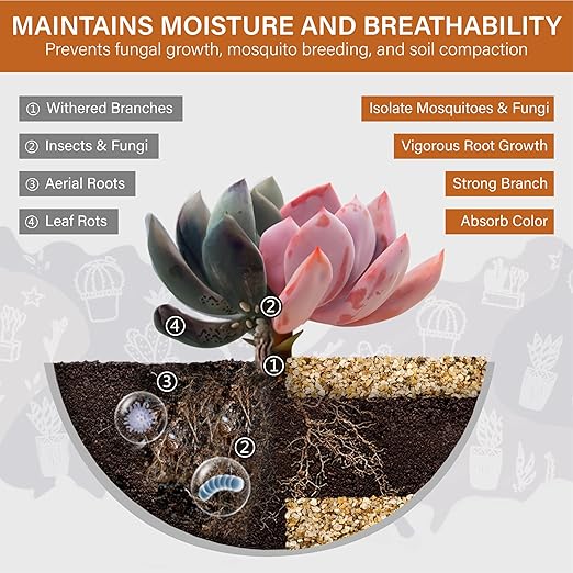 NUPICK 1-2mm Coarse Sand for Plants, 6lb Horticultural Grit for Succulents, Desert Silica Sand for Cactus, Decorative Gravel for Landscaping, Gold Grit for Aquariums, Bonsai, Vases Fillers