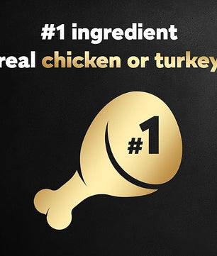 Cesar Filets in Gravy Adult Wet Dog Food, Poultry Lovers Multipack, 3.5 oz. (12 Count, Pack of 2)