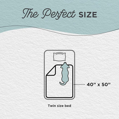 Best Friends by Sheri Calming Lux Dog Blanket – Ultra Soft Faux Fur Pet Throw, Anxiety-Relief, Lightweight Warm Bed Cover for Dogs and Cats, Machine Washable, Gray, 40" x 50"