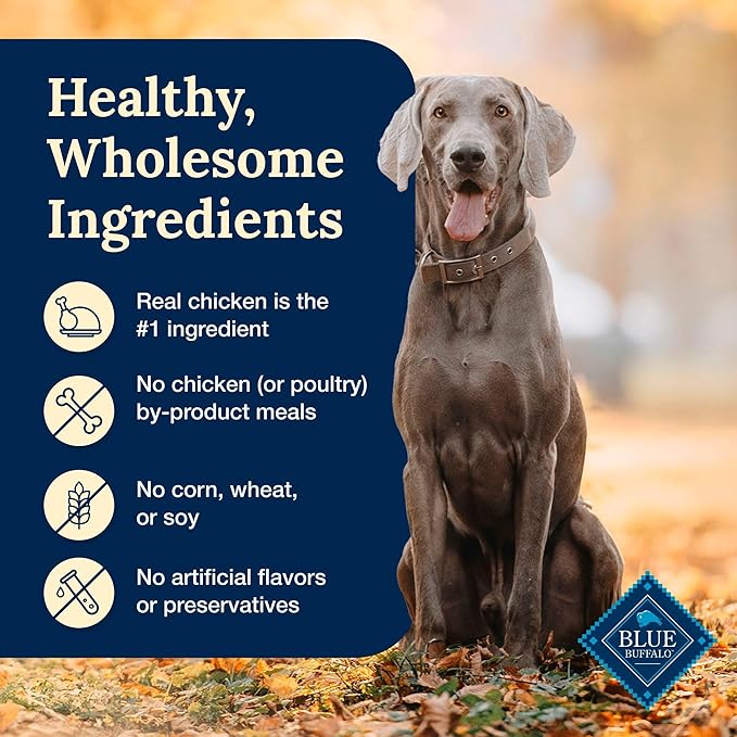 Blue Buffalo Delectables Natural Wet Dog Food Toppers, Tasty Chicken Cuts in Gravy, 3-oz. (24 Pouches)