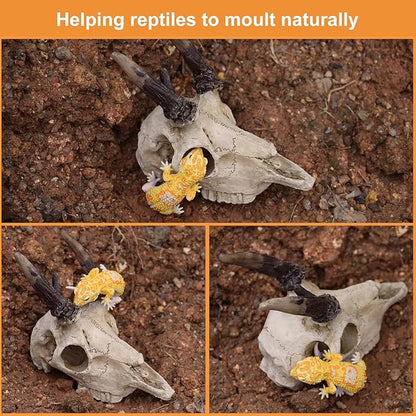 Gecko Tank Accessories Bearded Dragon Cage Accessory Reptile Climbing Decorative for Leopard Geckos,Bearded Dragons,Snakes,Fish 4inch