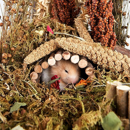 Natural Ear of Grain Flower&Herb Bedding Mate Habitat Decor, Adding Fun Hamster Accessories for Hamsters Gerbils Lemming