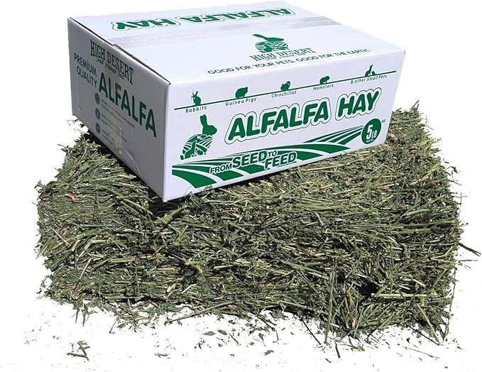 High Desert Alfalfa Hay, Protein Rich Soft Leaf Food for Young Growing Animals, Natural Rabbit Food and Guinea Pig Hay, Supports Digestive Health, Small Pet Supplies, Fresh Hand Packed 5 Lb Box