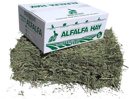 High Desert Alfalfa Hay, Protein Rich Soft Leaf Food for Young Growing Animals, Natural Rabbit Food and Guinea Pig Hay, Supports Digestive Health, Small Pet Supplies, Fresh Hand Packed 5 Lb Box