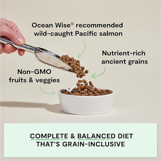 Open Farm, Ancient Grains Dry Dog Food, Protein-Rich & Nutrient Dense, 90% Animal Protein Mixed with Non-GMO Fruits, Veggies and Superfoods, Wild Caugh Salmon Recipe, 22lb Bag