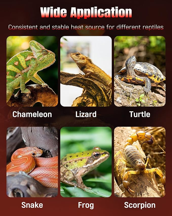 Pawfly 14 W Reptile Heat Pad 11 x 5.9 Inch Reptile Heating Pad Under Tank Terrarium Safe Fast Heating Mat Heat Mat for Turtles Frogs Snakes Lizards Geckos Hermit Crabs Spiders & Other Reptiles