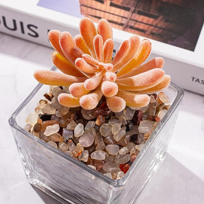 0.5 Lb/230g White Agate Crystal Pebbles Stones Aquarium Gravel Rocks, Natural Landscaping Pebbles Decorative Vase Filler Tumbled Crushed Stones for Fish Tank|Garden|Home, 5-7mm