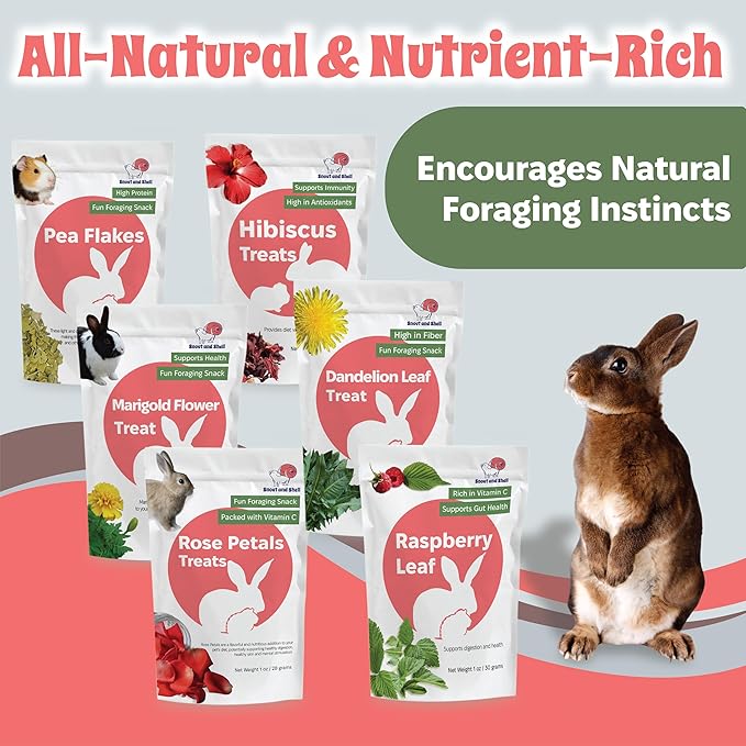 Snout and Shell Small Pet Mega Pack – 6 Natural Treats: Pea Flakes, Dandelion, Raspberry Leaf, Marigold, Rose Petals & Hibiscus – For Rabbits, Guinea Pigs, Chinchillas & More – Foraging & Health Boost
