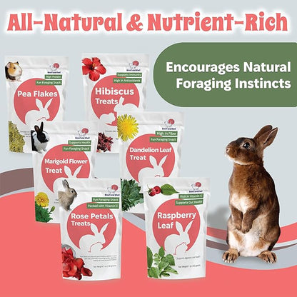 Snout and Shell Small Pet Mega Pack – 6 Natural Treats: Pea Flakes, Dandelion, Raspberry Leaf, Marigold, Rose Petals & Hibiscus – For Rabbits, Guinea Pigs, Chinchillas & More – Foraging & Health Boost