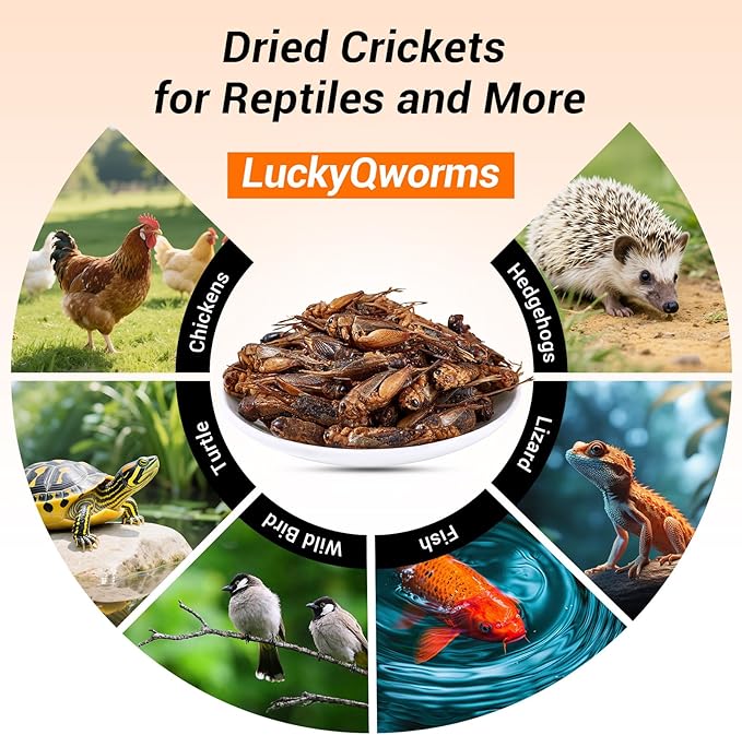 Dried Crickets 1 lb for Chickens, Wild Birds, Hedgehogs, Reptiles, Lizards, Bearded Dragons, Fish, Turtles - High Protein Natural Insect Food Resealable Bag