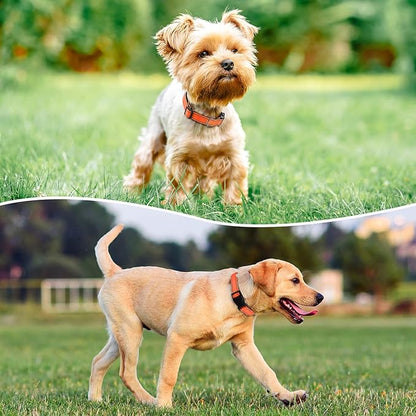 Reflective Dog Collar Padded with Soft Neoprene Breathable Quick Release Basic Dog Collars for Puppy Small Dogs Orange