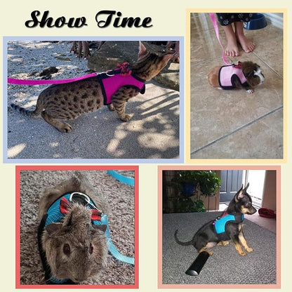 Rypet Ferret Harness and Leash 2 Pieces - Soft Mesh Small Pet Harness with Safe Bell, No Pull Comfort Padded Vest for Guinea Pig, Hamster, Rats and Similar Small Animals