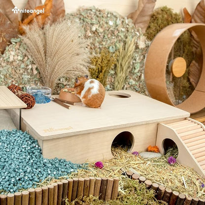 Niteangel Multi-Chamber Hamster House Maze: - Multi-Room Hideouts & Tunnel Exploring Toys for Hamster Gerbils Mice Lemmings (6-Room Large)
