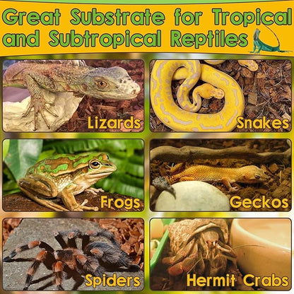 Halatool 2Pack Snake Bedding Natural Coconut Chips Substrate 2.2LB Coconut Husk for Reptiles Tank Terrarium Substrate for Ball Python Frog Gecko Hermit Crab Tortoise