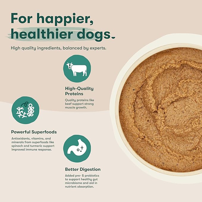 Jinx Premium Wet Dog Food Cans - Beef Pate - Grain-Free Canned Dog Food Pate & Topper with Real Ingredients & No Fillers - All Life Stages, Breeds & Sizes - 12-Pack, 13 Oz