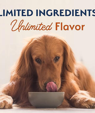 Natural Balance Limited Ingredient Adult Dry Dog Food with Healthy Grains, Reserve Duck & Brown Rice Recipe, 4 Pound (Pack of 1)