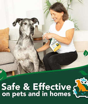 Vet’s Best Flea & Tick Home Spray for Dogs – Plant-Based Flea and Tick Treatment with Cotton Spice Scent – Indoor Flea Spray for Dogs – Made in USA Flea Control for Home Use – 32 oz