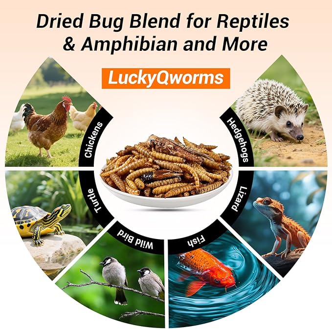 Dried Insect Trail Mix for Chickens - High Protein 42% & Calcium 1.1% for Egg Laying - Natural Treat for Birds, Reptiles, Ducks, Hedgehogs - 1 Lbs Resealable Bag
