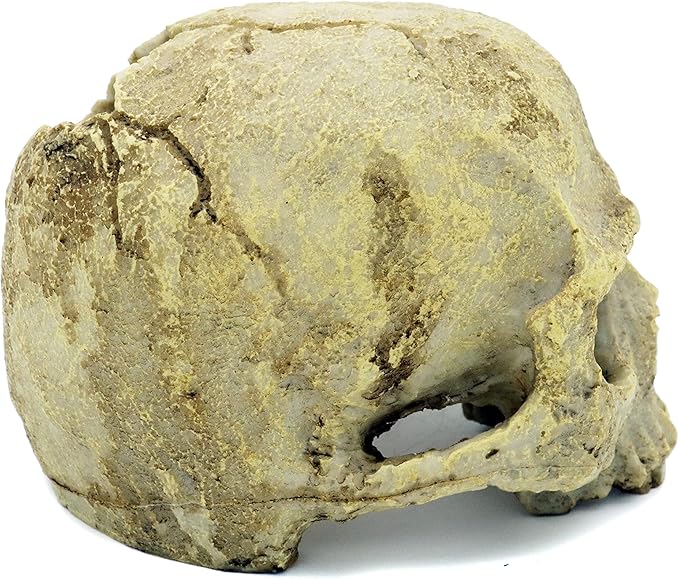 JIHAQUA Aquarium Resin Skull, Reptile Tank Accessories Ornament Basking Snake Hide Decor Habitat