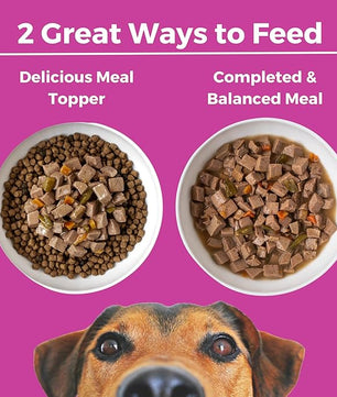 KOHA Santa Fe Skillet Stew for Dogs with Beef and Pork, High Protein Wet Dog Food, 12.7oz Cans (Case of 12)