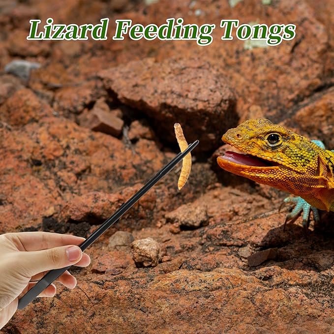Reptile Feeding Tongs, Stainless Steel Lizard Feeding Tongs, Aquarium Straight Feeding Tweezers for Reptiles with Rubber Tip, Terrarium Feeding Tong for Gecko, 10.63" Length, Black