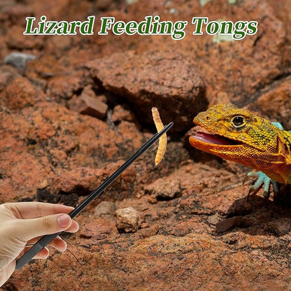 Reptile Feeding Tongs, Stainless Steel Lizard Feeding Tongs, Aquarium Straight Feeding Tweezers for Reptiles with Rubber Tip, Terrarium Feeding Tong for Gecko, 10.63" Length, Black