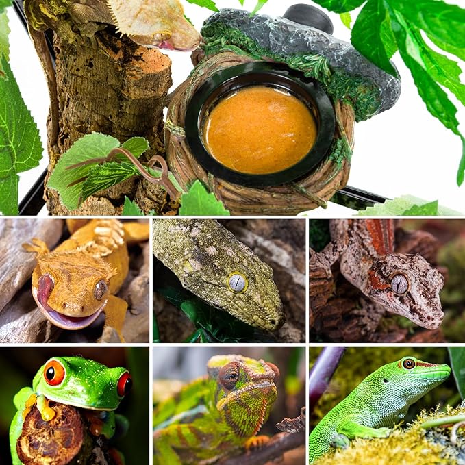 REPTI ZOO Magnetic Crested Gecko Feeding Ledge, Reptile Feeder Ledge with 2PCS Cups, Reptile Water Bowl for Bearded Dragon Lizard Snake, Hollow Vine Food Dish Tank Accessories