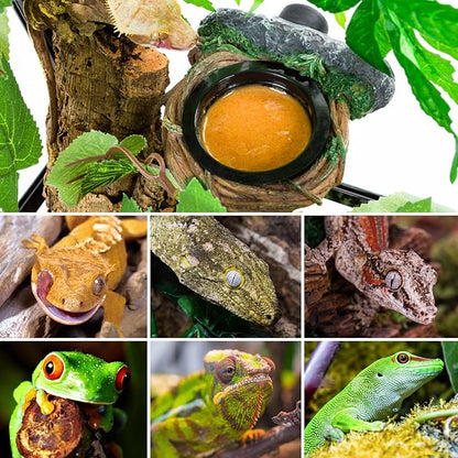 REPTI ZOO Magnetic Crested Gecko Feeding Ledge, Reptile Feeder Ledge with 2PCS Cups, Reptile Water Bowl for Bearded Dragon Lizard Snake, Hollow Vine Food Dish Tank Accessories