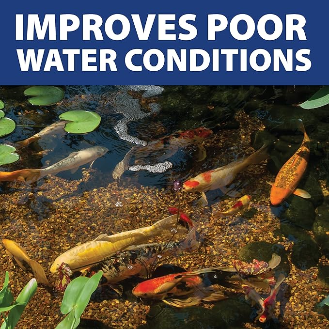 The Pond Guy InstaFix Algae Control, Outdoor Water Garden, Fountain & Birdbath Algae Solution, EPA Registered Liquid Algaecide, Control Green Water & String Algae, Bird, Fish & Pet Safe, 16 Ounce